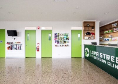 Lava Street Veterinary Clinic